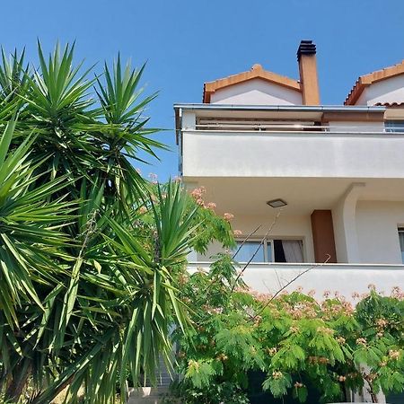 טרוגיר Mislav Apartment מראה חיצוני תמונה