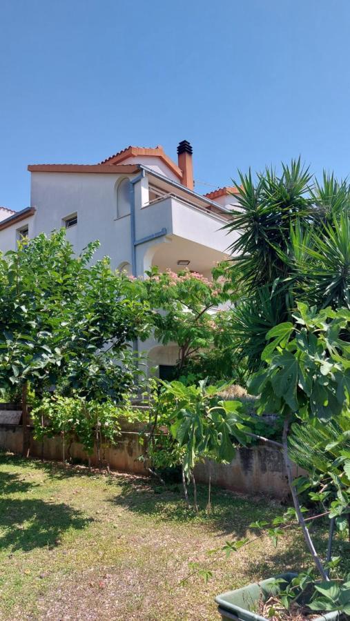 טרוגיר Mislav Apartment מראה חיצוני תמונה
